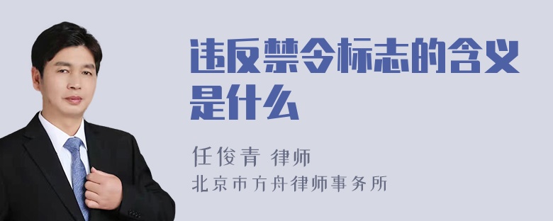 违反禁令标志的含义是什么