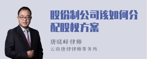 股份制公司该如何分配股权方案