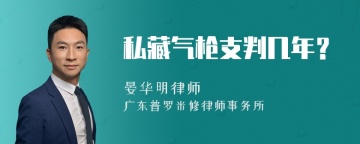 私藏气枪支判几年？