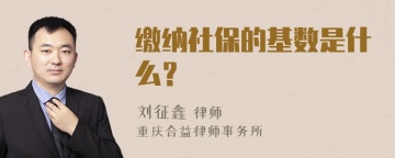 缴纳社保的基数是什么？