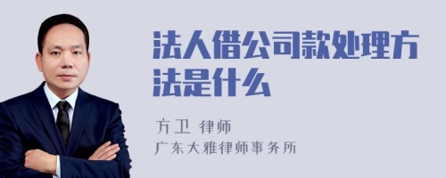 法人借公司款处理方法是什么