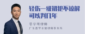 轻伤一级初犯不谅解可以判几年