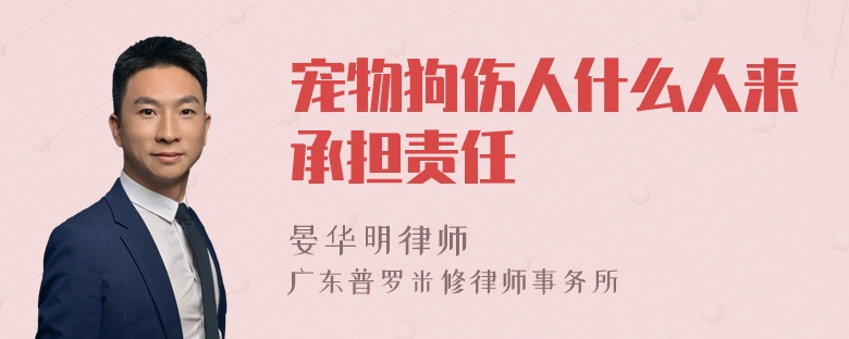 宠物狗伤人什么人来承担责任