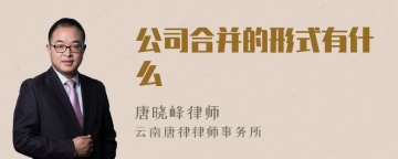 公司合并的形式有什么