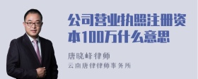 公司营业执照注册资本100万什么意思