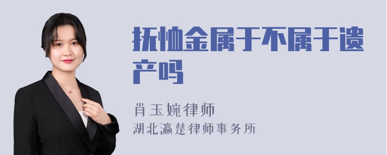 抚恤金属于不属于遗产吗