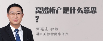 离婚析产是什么意思?