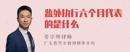 监外执行六个月代表的是什么