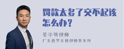 罚款太多了交不起该怎么办？