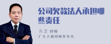 公司欠款法人承担哪些责任