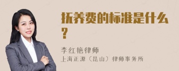 抚养费的标准是什么?