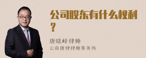 公司股东有什么权利？