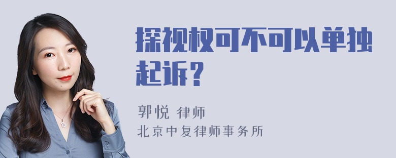 探视权可不可以单独起诉？