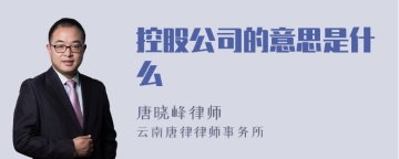 控股公司的意思是什么