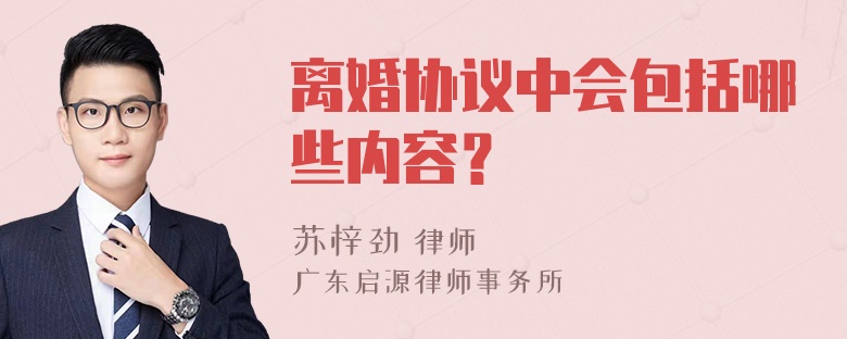 离婚协议中会包括哪些内容？