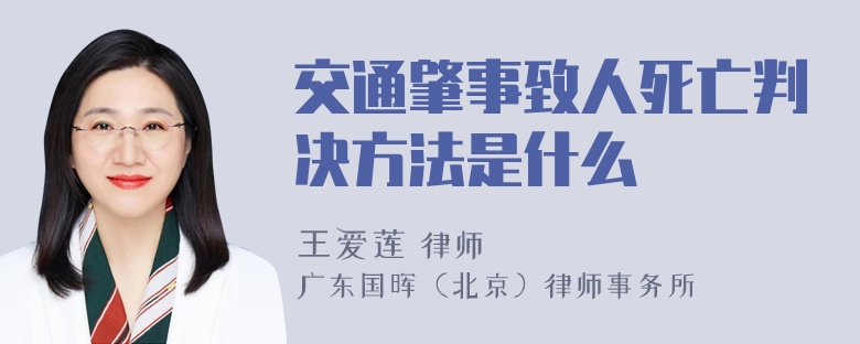 交通肇事致人死亡判决方法是什么