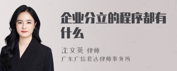 企业分立的程序都有什么