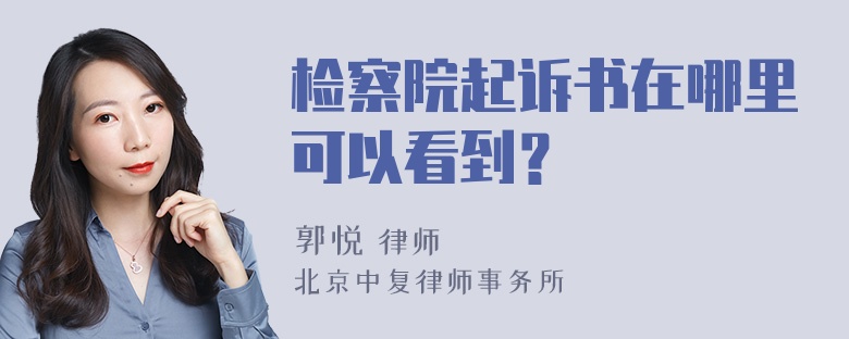 检察院起诉书在哪里可以看到？