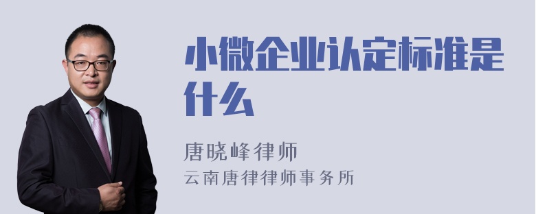 小微企业认定标准是什么