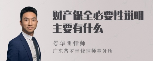 财产保全必要性说明主要有什么