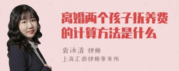 离婚两个孩子抚养费的计算方法是什么