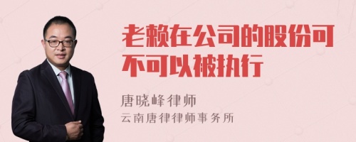 老赖在公司的股份可不可以被执行