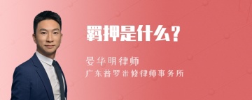 羁押是什么？