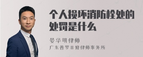 个人损坏消防栓处的处罚是什么