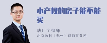 小产权的房子能不能买