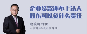 企业贷款还不上法人股东可以负什么责任