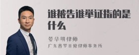 谁被告谁举证指的是什么