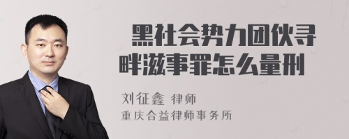  黑社会势力团伙寻畔滋事罪怎么量刑