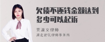 欠债不还钱金额达到多少可以起诉