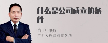 什么是公司成立的条件