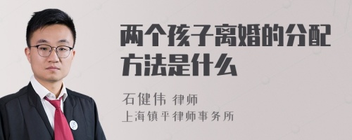 两个孩子离婚的分配方法是什么