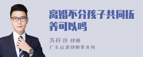 离婚不分孩子共同抚养可以吗