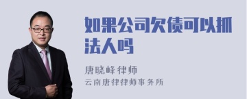 如果公司欠债可以抓法人吗