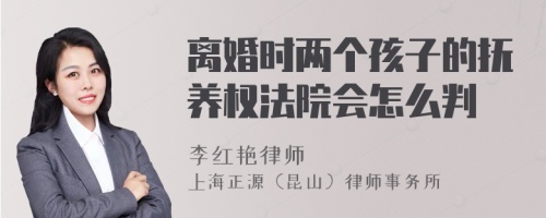 离婚时两个孩子的抚养权法院会怎么判