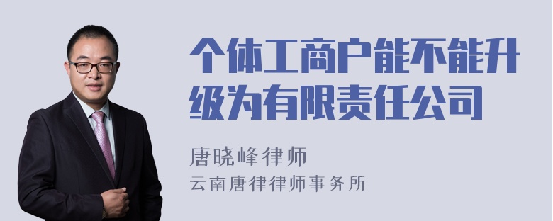 个体工商户能不能升级为有限责任公司