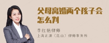 父母离婚两个孩子会怎么判