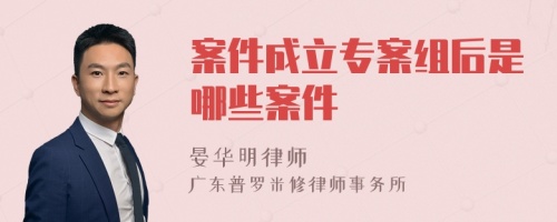 案件成立专案组后是哪些案件