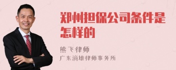 郑州担保公司条件是怎样的