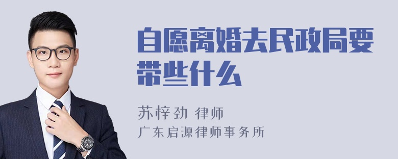 自愿离婚去民政局要带些什么