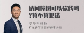 请问樟树可以砍伐吗?算不算犯法