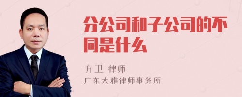 分公司和子公司的不同是什么