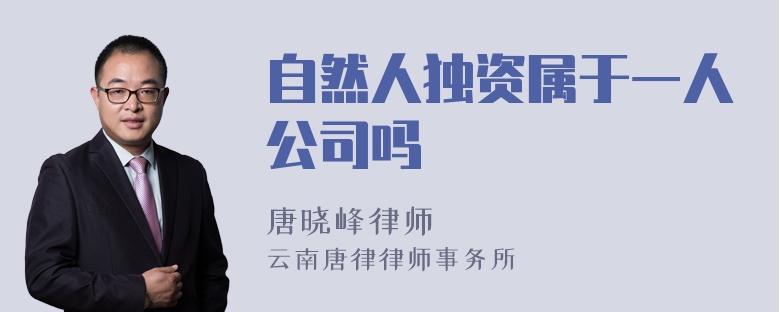 自然人独资属于一人公司吗