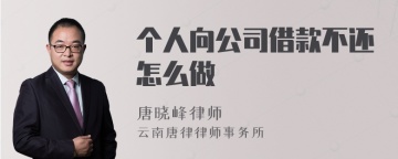 个人向公司借款不还怎么做