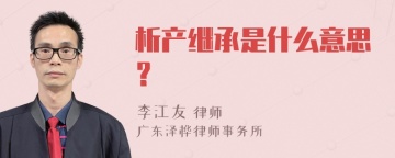 析产继承是什么意思？