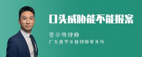 口头威胁能不能报案