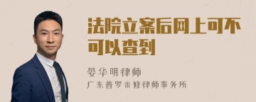 法院立案后网上可不可以查到